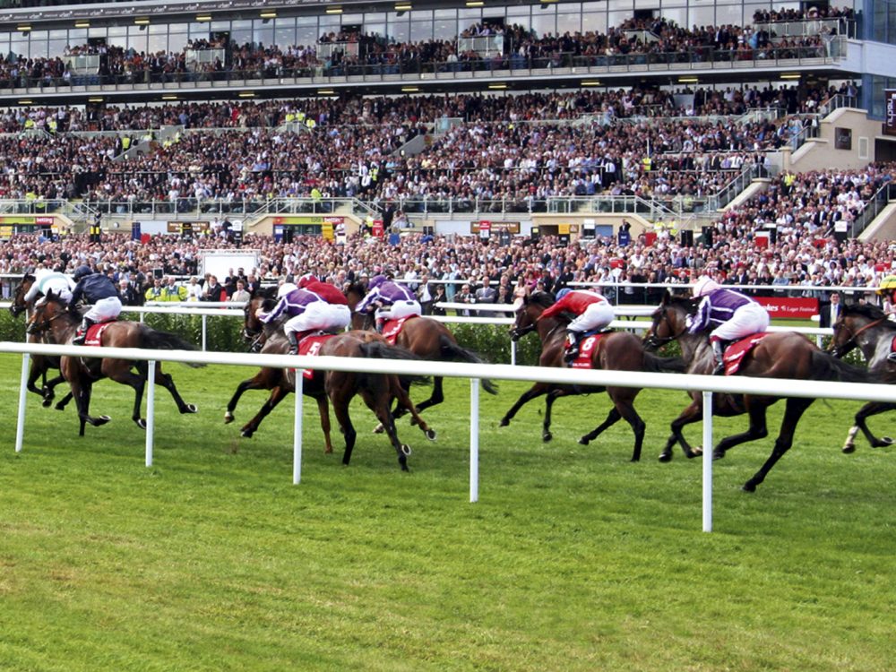 Safety Feature development for Horse Racing in the UK
